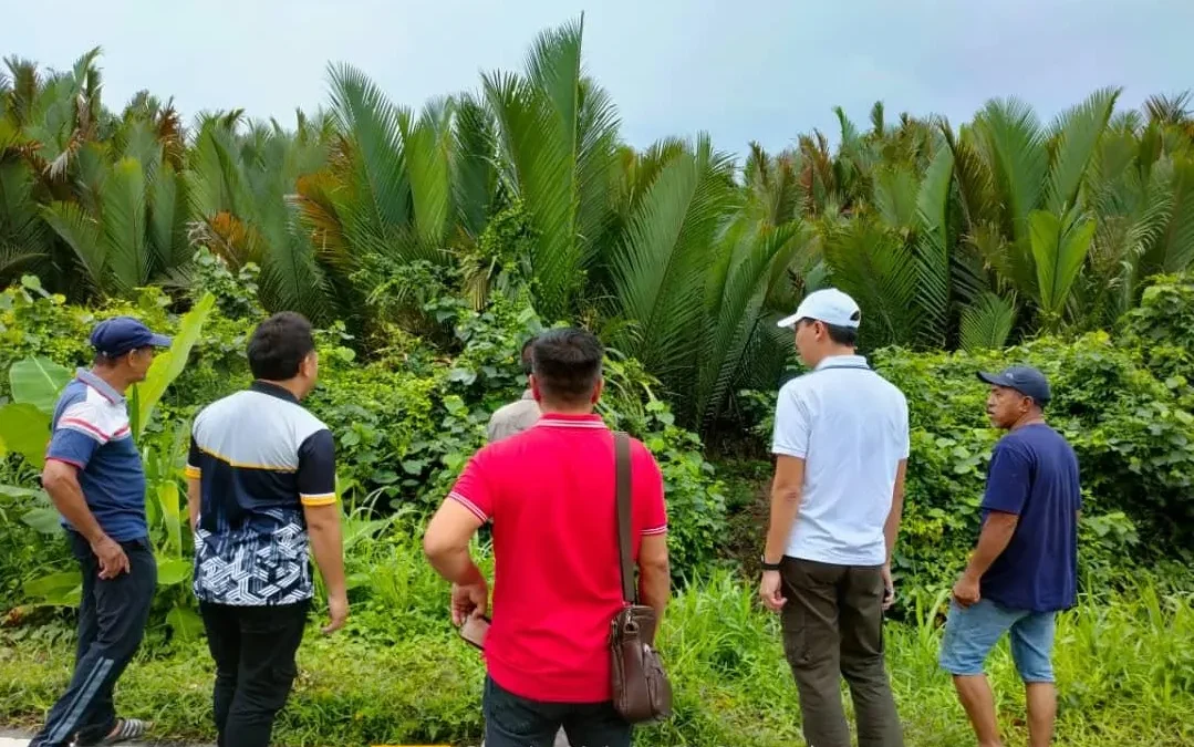 DOA Visit for MyOrganic application